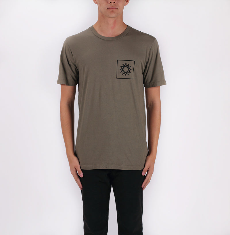 POLLUX - OLIVE - ALOHA SUNDAY