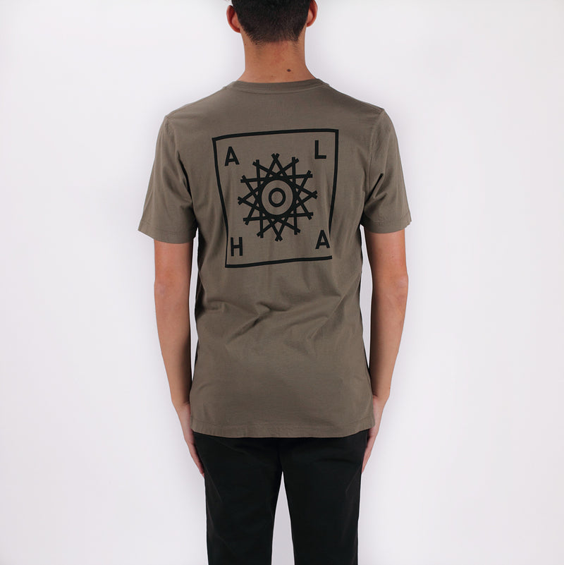 POLLUX - OLIVE - ALOHA SUNDAY